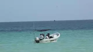 Mancha de ‘agua mala’ en la costa Oriente de Yucatán ahuyenta a las especies marinas