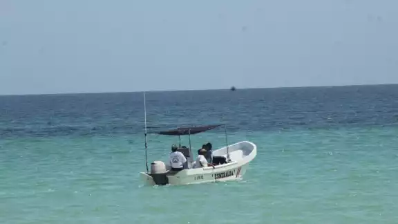 Hombres de mar detectaron la presencia de agua mala frente a Río Lagartos y San Felipe