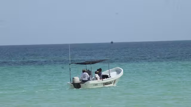 Hombres de mar detectaron la presencia de agua mala frente a Río Lagartos y San Felipe