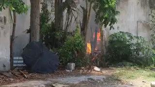 Se registra incendio en un terreno baldío en el Centro de Mérida
