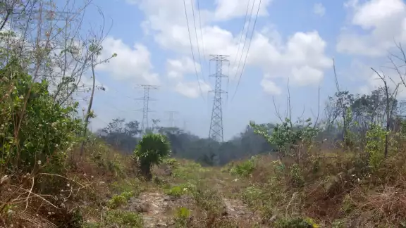 El incendio registrado el lunes en la zona de captación uno afectó 84 zonas de Cancún, Punta Sam e IM