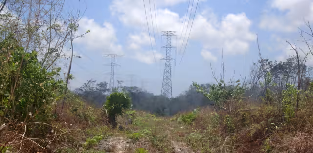 El incendio registrado el lunes en la zona de captación uno afectó 84 zonas de Cancún, Punta Sam e IM