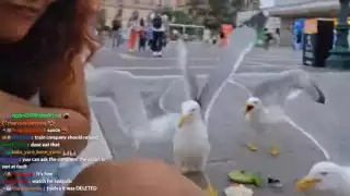 Mujer capta ataque de gaviotas que buscaban comerse su sándwich y se hace viral: VIDEO