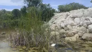 Hace tres años el agua era cristalina y la gente nadaba, relataron algunas familias asentadas en los alrededores del cuerpo de agua, en la colonia irregular San Valentín