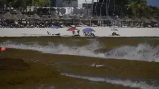 El recale masivo de sargazo en Cancún y la Riviera Maya ha causado que las personas opten por viajar a otros destinos de playa