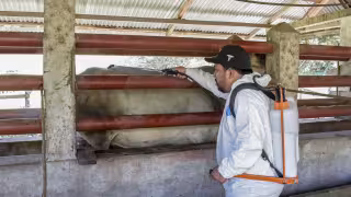 En los cuatro estados del Sureste hay un acumulado de 3 mil 993 casos, cifra que representa la quinta parte a nivel república.