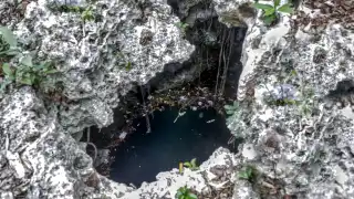 Expertos advierten aumento de contaminación en cenotes del norte de Quintana Roo