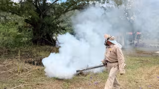 Diputada denuncia fallas estructurales en sistema de salud estatal