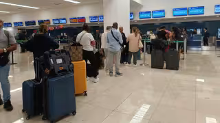 Binomio canino detecta presunta marihuana en paquete en el aeropuerto de Mérida