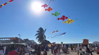 Festival de Papagayos y Cometas 2026 en Progreso: conoce la sede y horarios de las actividades