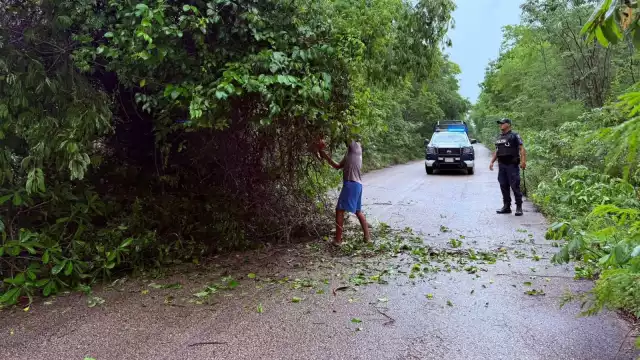 Ante el desplome de árboles, policías se han encargado de cortar algunas ramas.