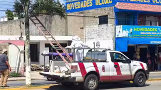 Retiran enjambre de abejas cerca del Mercado Municipal en José María Morelos