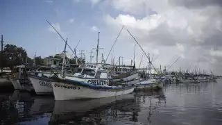   Pescadores de Yucatán culpan a foráneos de explotar a las especies en veda   