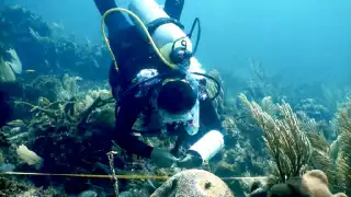 Solidaridad se posiciona como  el municipio del Norte de Quintana Roo con el mayor aporte de nutrientes contaminantes al mar