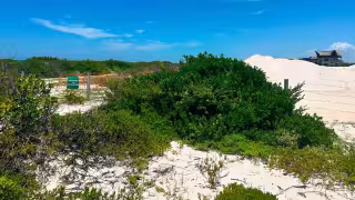 Prestadores turísticos de Chuburná rechazan proyecto Las Dunas y respaldan la protección ambiental