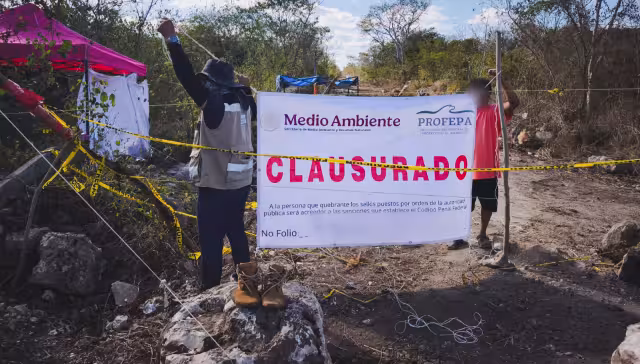 Profepa asegura excavadora y máquina tras daños a selva en Umán