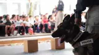 Capacitan en Texas a elementos de la unidad K-9 de la SSP Yucatán para la detección de explosivos