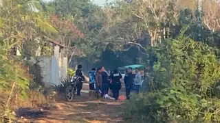 Enjambre de abejas ataca a una pareja de abuelitos en Temax; hay un fallecido