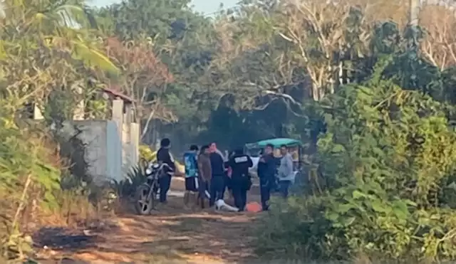 Perece adulto por picadura de abejas en Temax