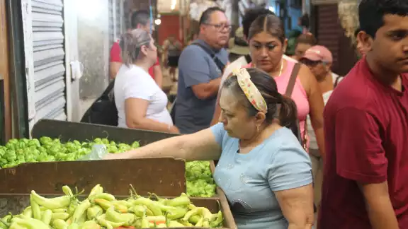 El CICY desarrolla especies modificadas del picante, hoy día tiene cuatro disponibles al público El CICY desarrolla especies modificadas del picante, hoy día tiene cuatro disponibles al público