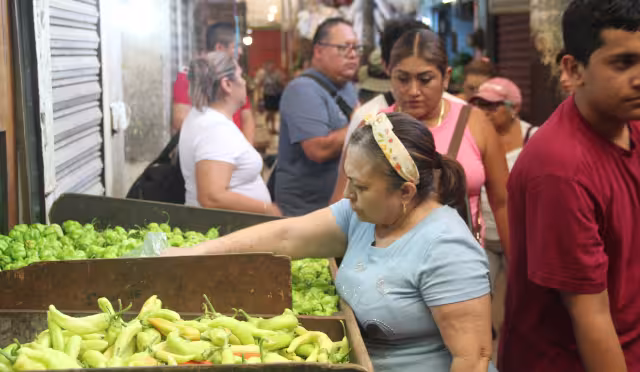 El CICY desarrolla especies modificadas del picante, hoy día tiene cuatro disponibles al público