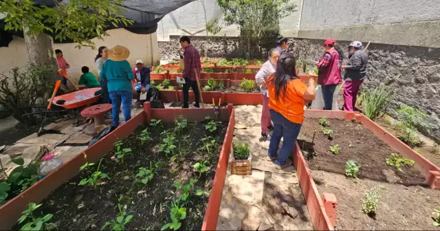 Los huertos de traspatio llevan bienestar al medio rural