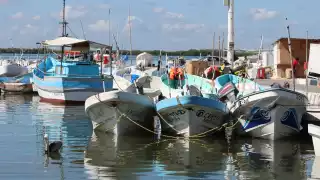 Engañan a los  dueños de barcos  pesqueros en  Progreso