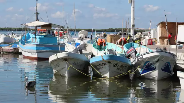 La mala costumbre de pedir anticipos y no regresar a pescar genera millonarias pérdidas en el sector