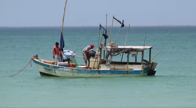 La captura del mero en el puerto y sus comisarías mejora tras el arranque de la temporada
