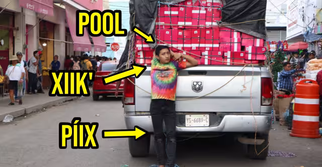 Las partes del cuerpo en maya pueden ser de conocimiento general.