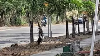 Los cables se encuentran en la intersección de las calles Antigua y Antonio Handall.