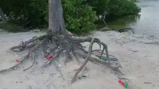 Río Nizuc contaminado; reportan deshechos y basura acumulada por culpa de visitantes  