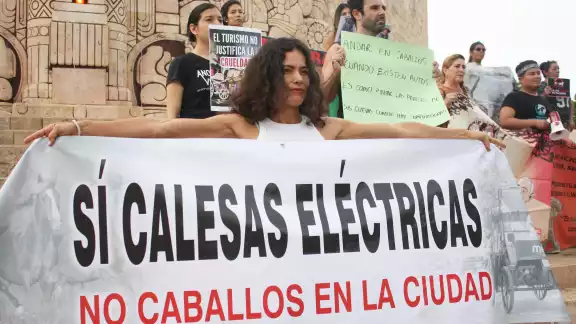 El calesero fue despedido de su trabajo, pero sin recibir alguna pena El calesero fue despedido de su trabajo, pero sin recibir alguna pena