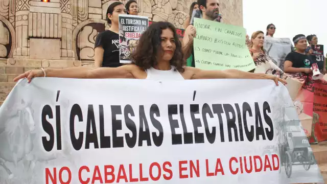 El calesero fue despedido de su trabajo, pero sin recibir alguna pena