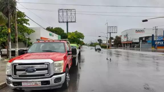 Los servicios y establecimientos retomarán operaciones en Quintana Roo Los servicios y establecimientos retomarán operaciones en Quintana Roo