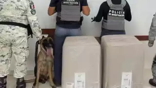 El binomio canino marcó positivo en dos bultos de grandes, los cuales al ser revisados revelaron que tenían hierba seca, con un peso de 50 kilos cada uno