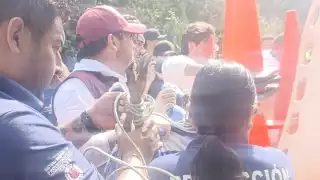 Personal de Protección Civil realizó el rescate del animal para ser atendido