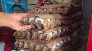 Se dispara el precio del huevo en Champotón; la reja sube de 42 a 54 pesos