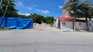 Devastan amplia zona de manglares con material de relleno en Puerto Morelos 