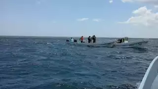 Detienen a pescadores por la captura ilegal de especies en San Felipe
