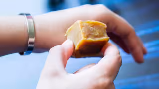 La cera de Campeche es el cerumen producido por la abeja nativa sin aguijón (Melipona beecheii), conocida como Xunán kab en maya.