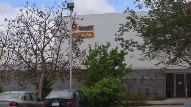 Banco de Alimentos de Mérida invita a transformar vidas con acciones solidarias