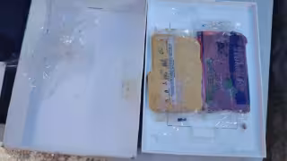 Los cuatro hombres fueron detenidos por la SSP