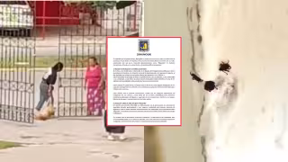El Instituto Campechano fijó postura tras la indignación por garrapatas y el presunto desalojo de perritos en el Campus V.