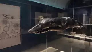 Campeche parte de la Cátedra Unesco con Cartagena y Santo Domingo