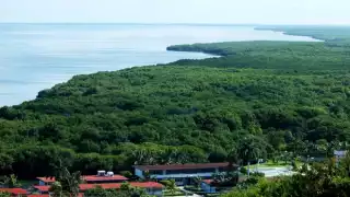 La Reserva de la Biosfera de Los Petenes en Campeche es un área protegida que ejemplifica la función protectora de los manglares.