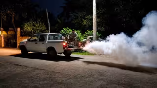 Yucatán reduce contagios de dengue y llega sin muertes a la temporada de lluvias