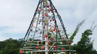 Estudiantes y docentes de universidad en José María Morelos instalan árbol de navidad ecológico  