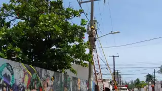 Regiones de Cancún continúan sin electricidad a 24 horas del paso de Beryl