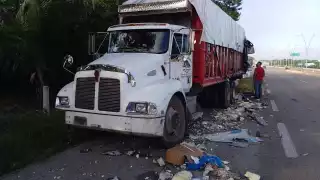 El tráiler cargado con más de 20 toneladas de pollo fresco impactó al tortón por detrás y terminó fuera de la cinta asfáltica.
